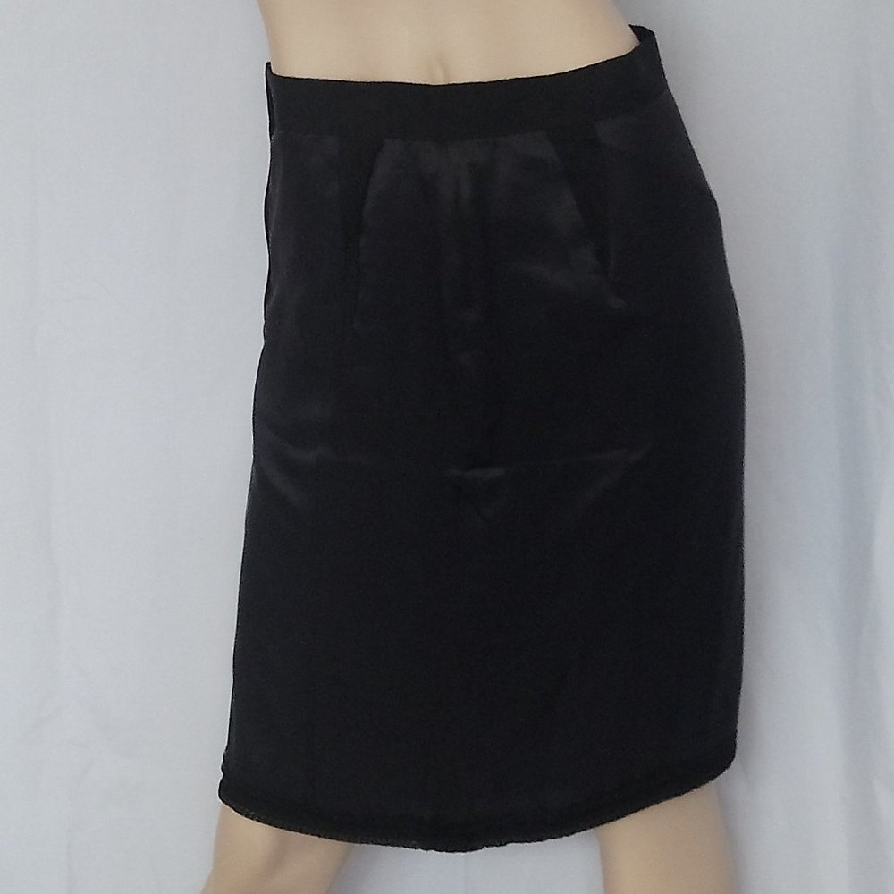 Nwt $1588 LANVIN ETE 2010 Pencil Skirt Sz S CHIC! - Picture 1 of 8